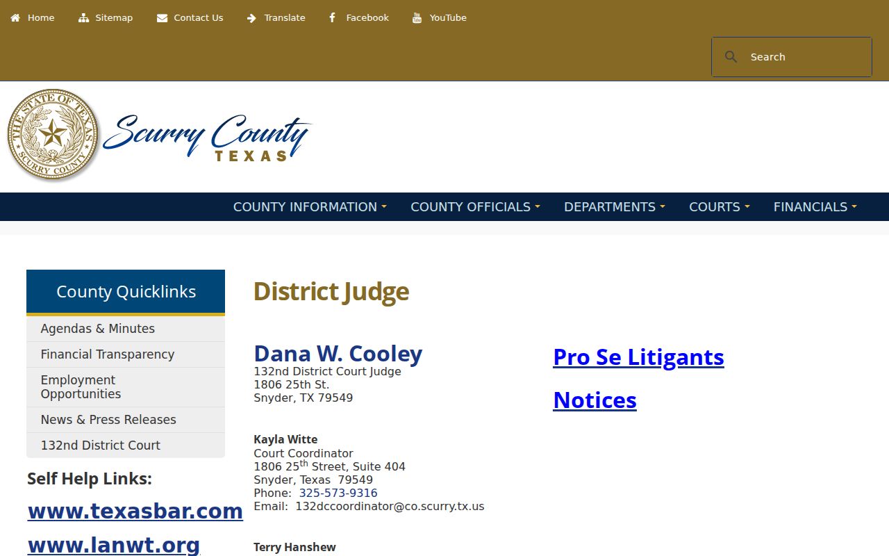 Scurry County criminal court cases at the 132nd District Court